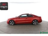 Audi S5 bei Sportwagen.expert - Abbildung (2 / 10)