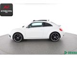 VW Beetle bei Sportwagen.expert - Abbildung (2 / 10)