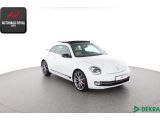 VW Beetle bei Sportwagen.expert - Abbildung (7 / 10)