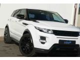 Land Rover Range Rover Evoque bei Sportwagen.expert - Abbildung (2 / 15)