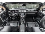 Ford Mustang bei Sportwagen.expert - Abbildung (15 / 15)