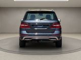 Mercedes-Benz M-Klasse bei Sportwagen.expert - Abbildung (6 / 15)