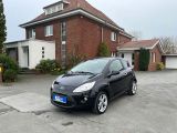 Ford Ka bei Sportwagen.expert - Abbildung (3 / 15)