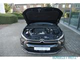 Citroen Feel 130 FEEL AUTOMATIK bei Sportwagen.expert - Abbildung (13 / 15)
