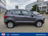 Ford EcoSport bei Sportwagen.expert - Abbildung (9 / 15)