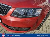 Skoda Octavia bei Sportwagen.expert - Abbildung (12 / 15)