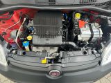 Fiat Panda bei Sportwagen.expert - Abbildung (11 / 14)