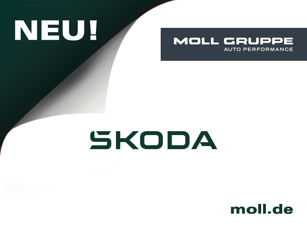 Skoda Octavia bei Sportwagen.expert - Hauptabbildung Skoda Octavia bei Sportwagen.expert - Hauptabbildung