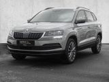 Skoda Karoq bei Sportwagen.expert - Abbildung (2 / 15)