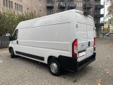 Opel Movano bei Sportwagen.expert - Abbildung (4 / 15)