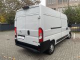 Opel Movano bei Sportwagen.expert - Abbildung (2 / 15)