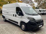 Opel Movano bei Sportwagen.expert - Abbildung (12 / 15)