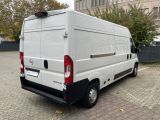 Opel Movano bei Sportwagen.expert - Abbildung (11 / 15)