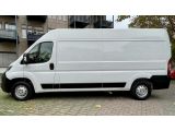 Opel Movano bei Sportwagen.expert - Abbildung (2 / 14)