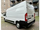 Opel Movano bei Sportwagen.expert - Abbildung (3 / 14)