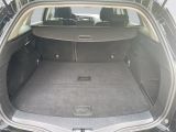Renault Megane bei Sportwagen.expert - Abbildung (5 / 15)
