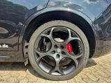 Alfa Romeo Stelvio bei Sportwagen.expert - Abbildung (12 / 15)