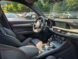 Alfa Romeo Stelvio bei Sportwagen.expert - Abbildung (7 / 15)