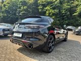 Alfa Romeo Stelvio bei Sportwagen.expert - Abbildung (3 / 15)