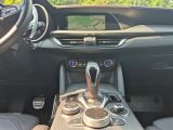 Alfa Romeo Stelvio bei Sportwagen.expert - Abbildung (10 / 15)