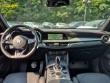 Alfa Romeo Stelvio bei Sportwagen.expert - Abbildung (8 / 15)