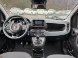 Fiat Panda bei Sportwagen.expert - Abbildung (5 / 11) Fiat Panda bei Sportwagen.expert - Abbildung (5 / 11)