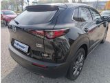 Mazda CX-30 bei Sportwagen.expert - Abbildung (3 / 15)
