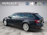 Skoda Octavia bei Sportwagen.expert - Abbildung (4 / 8)