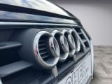 Audi A4 Allroad Quattro bei Sportwagen.expert - Abbildung (14 / 15)