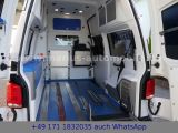 VW T6 bei Sportwagen.expert - Abbildung (13 / 15)