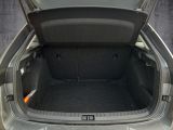Skoda Scala bei Sportwagen.expert - Abbildung (9 / 15)