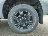 Ford Ranger bei Sportwagen.expert - Abbildung (3 / 15)