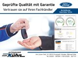 VW Polo bei Sportwagen.expert - Abbildung (15 / 15)