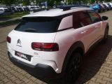 Citroen C4 Cactus bei Sportwagen.expert - Abbildung (6 / 15)