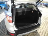 Ford Kuga bei Sportwagen.expert - Abbildung (7 / 15)