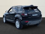 Land Rover Range Rover Evoque bei Sportwagen.expert - Abbildung (3 / 15)