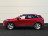 Ford Kuga bei Sportwagen.expert - Abbildung (2 / 15)