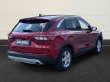 Ford Kuga bei Sportwagen.expert - Abbildung (4 / 15)