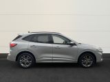 Ford Kuga bei Sportwagen.expert - Abbildung (5 / 15)