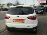 Ford EcoSport bei Sportwagen.expert - Abbildung (6 / 15)