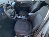 Ford Kuga bei Sportwagen.expert - Abbildung (6 / 14) Ford Kuga bei Sportwagen.expert - Abbildung (6 / 14)