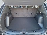 Ford Kuga bei Sportwagen.expert - Abbildung (7 / 8) Ford Kuga bei Sportwagen.expert - Abbildung (7 / 8)