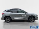 Ford Kuga bei Sportwagen.expert - Abbildung (6 / 15)