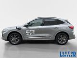 Ford Kuga bei Sportwagen.expert - Abbildung (2 / 15)