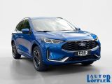 Ford Kuga bei Sportwagen.expert - Abbildung (7 / 15)