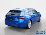 Skoda Octavia bei Sportwagen.expert - Abbildung (5 / 15)