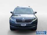 Skoda Kodiaq bei Sportwagen.expert - Abbildung (8 / 15)