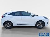 Ford Puma bei Sportwagen.expert - Abbildung (6 / 15)