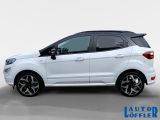 Ford EcoSport bei Sportwagen.expert - Abbildung (2 / 15)