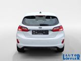 Ford Fiesta bei Sportwagen.expert - Abbildung (4 / 15)